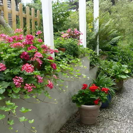 Gaestehaus Rosengarten Im Nahetal 招待所 3*