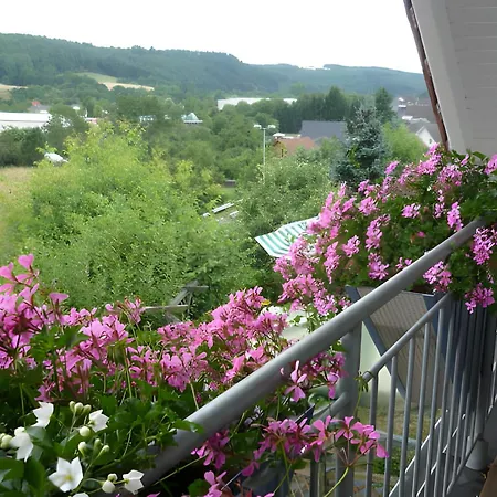 Gaestehaus Rosengarten Im Nahetal 招待所