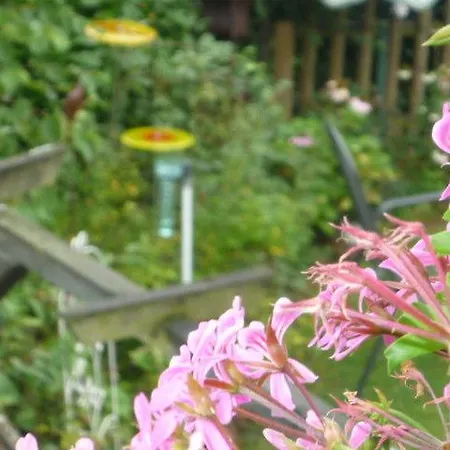 Rosengarten Im Nahetal Apartment Kirn