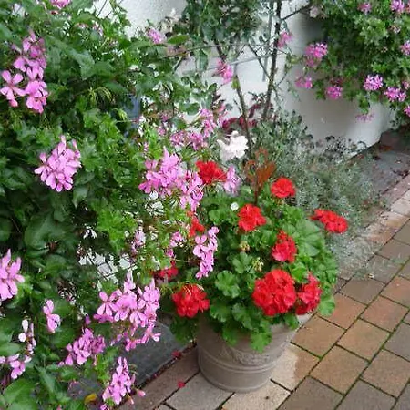 招待所 Gaestehaus Rosengarten Im Nahetal 基尔恩