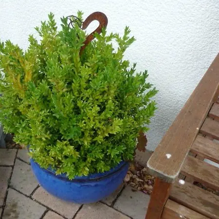 Gaestehaus Rosengarten Im Nahetal