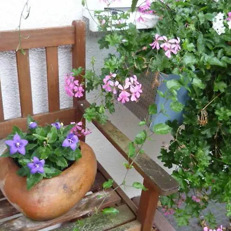 Apartament Gaestehaus Rosengarten Im Nahetal