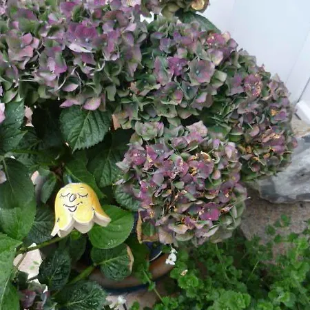 Gaestehaus Rosengarten Im Nahetal * Kirn