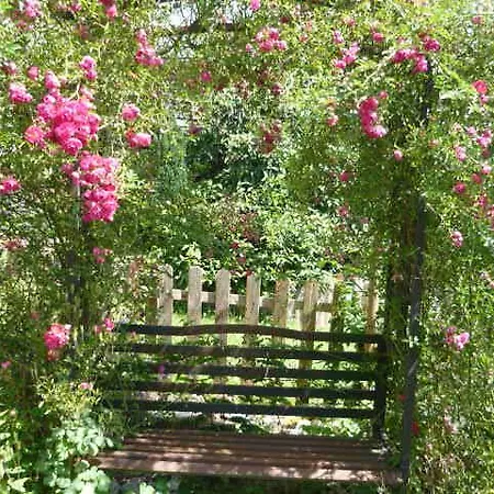 Rosengarten Im Nahetal Kirn