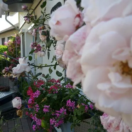 Gaestehaus Rosengarten Im Nahetal