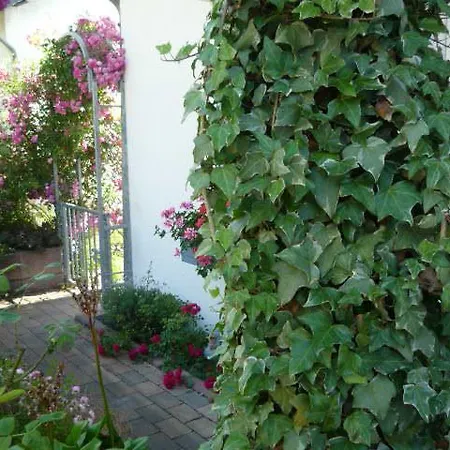 Rosengarten Im Nahetal