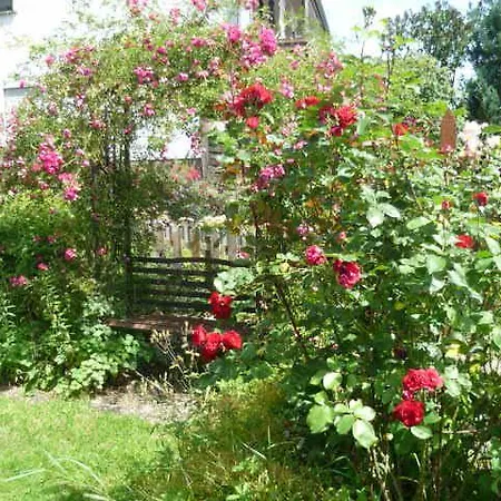 Gaestehaus Rosengarten Im Nahetal 基尔恩