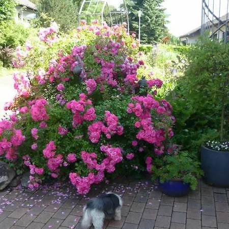 Appartement Gaestehaus Rosengarten Im Nahetal