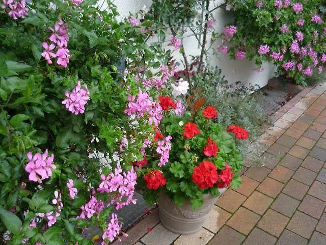 Апартаменты Gaestehaus Rosengarten Im Nahetal Kirn