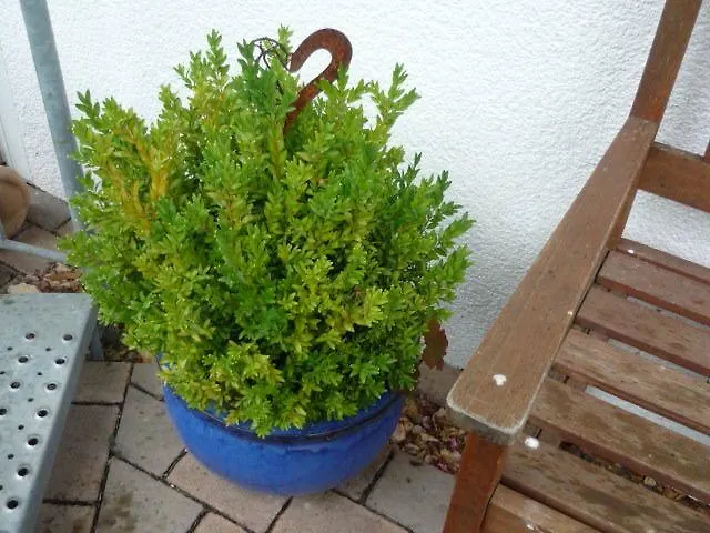 Gaestehaus Rosengarten Im Nahetal