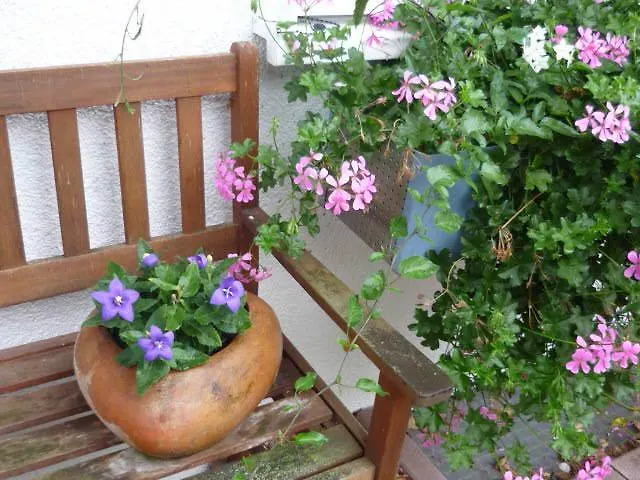 Апартаменты Gaestehaus Rosengarten Im Nahetal