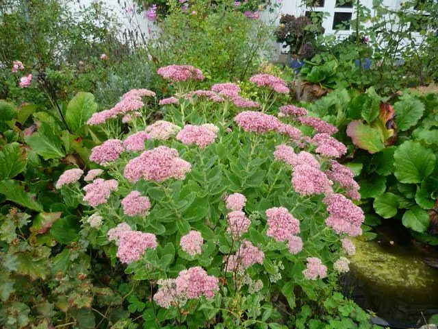 Gaestehaus Rosengarten Im Nahetal *