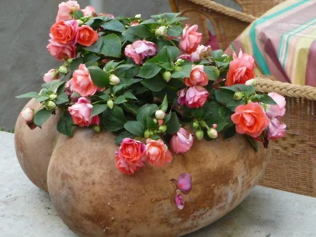 Gaestehaus Rosengarten Im Nahetal