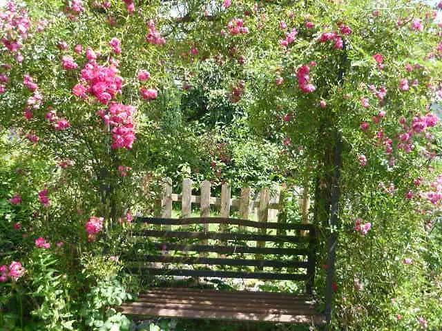 Gaestehaus Rosengarten Im Nahetal Kirn