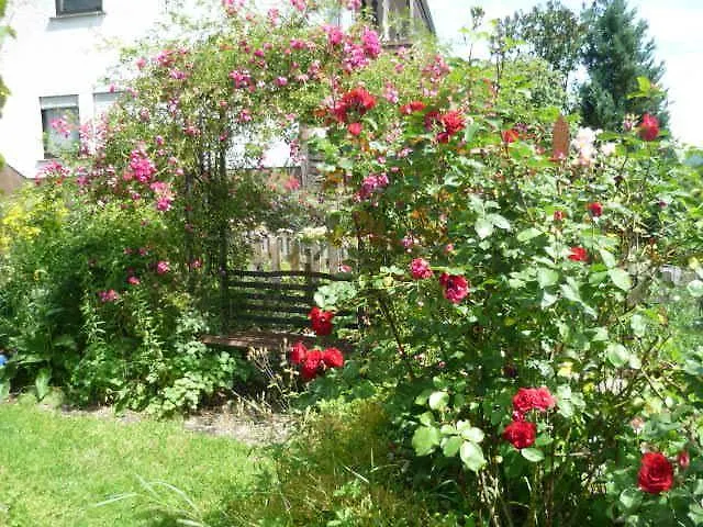 Gaestehaus Rosengarten Im Nahetal Kirn