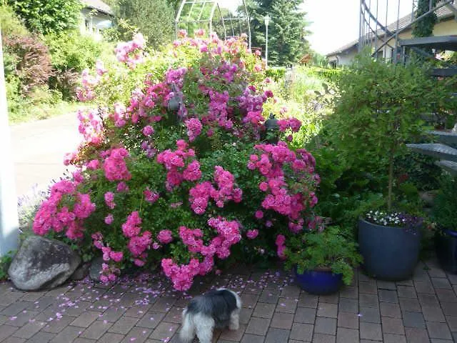 Апартаменты Gaestehaus Rosengarten Im Nahetal